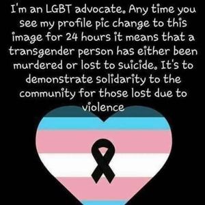 Meet your Posher, Arnester